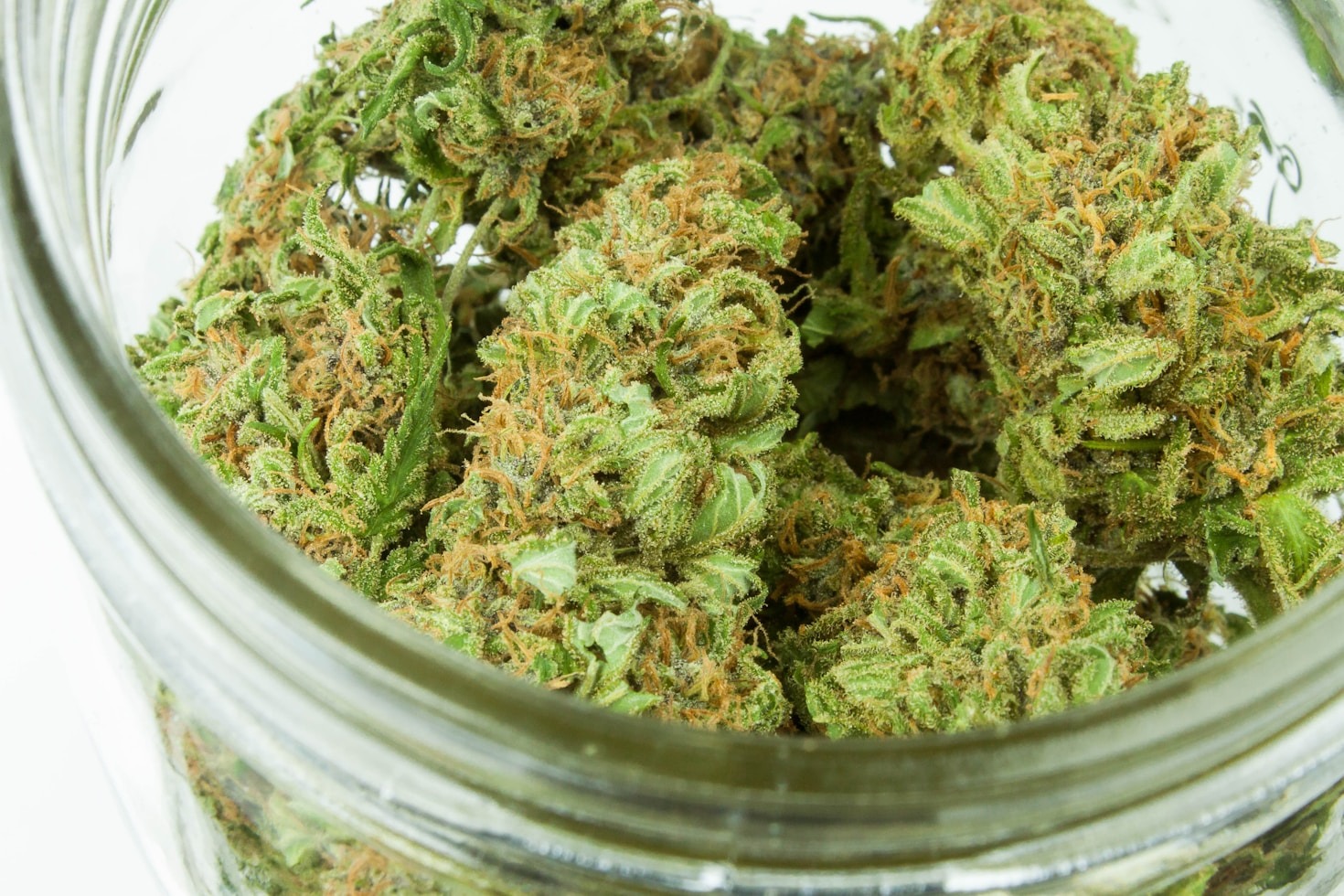A Patient’s Guide to Medicinal Cannabis