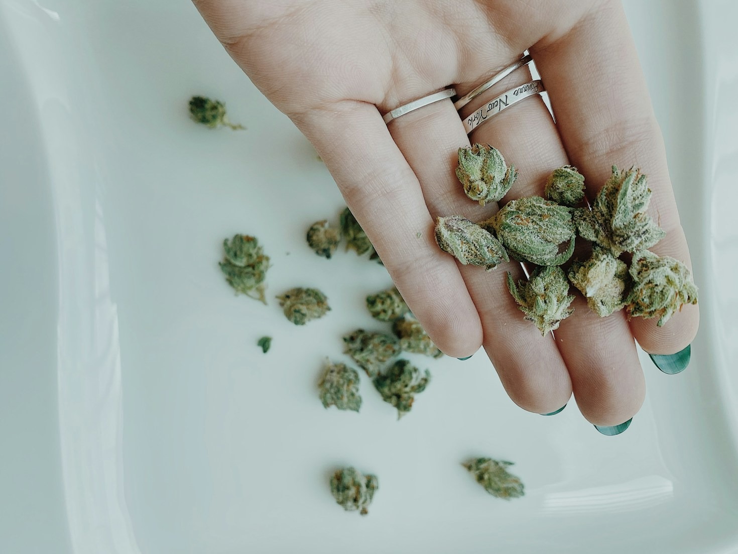 Real Stories: Living Better with Cannabis